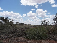 image_176